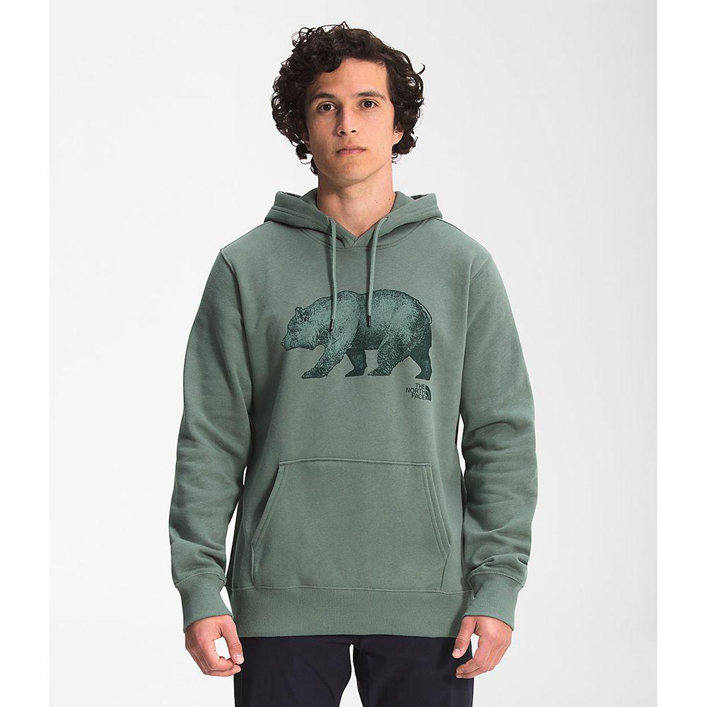 The North Face Tnf™ Bear Pullover Ανδρικα Φούτερ Hoodie - Πρασινο (THYZ72093)